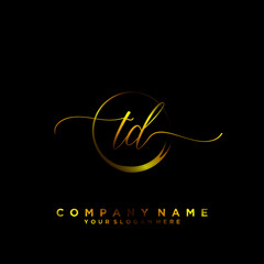TD Initial handwriting logo vector