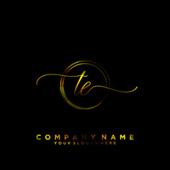 TE Initial handwriting logo vector