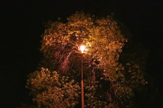 nocne miasto i natura