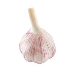 Young fresh aromatic whole garlic isolated on a white background.