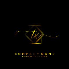 TX Initial handwriting logo vector