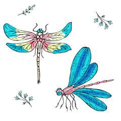 Set of bright multi-colored dragonflies. Fashionable popular insects. Pink, blue, yellow colors. Children's style. Doodling. Isolated objects on a white background.