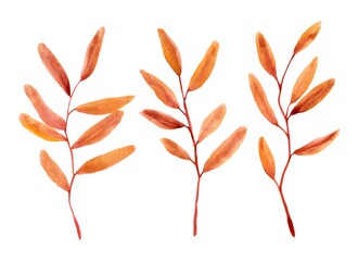 Watercolor orange branches 