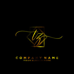TZ Initial handwriting logo vector