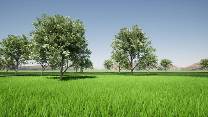 The change of seasons in abstract style on green background 4k