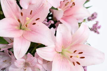 Pink Flower bouquet on white background