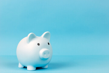 piggy bank in the form of a pig on a blue background