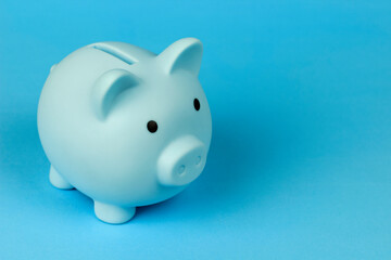 piggy bank in the form of a pig on a blue background