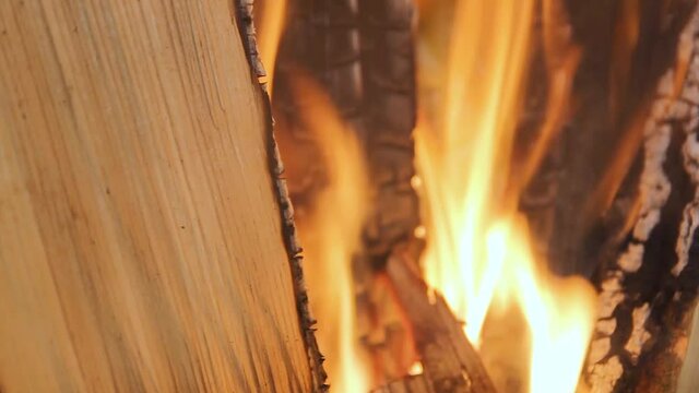 Closeup of firewood burning in fire