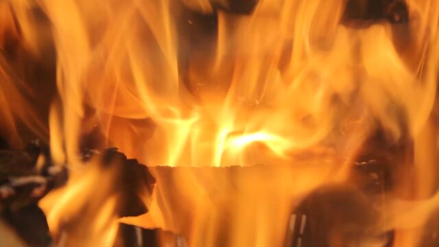 Closeup of firewood burning in fire
