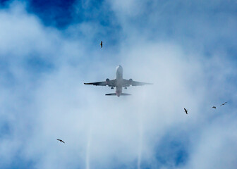 Fototapeta na wymiar Airplane flies through the clouds