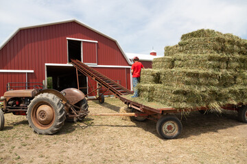 Baling hay on the farm on the wagon. © Mike