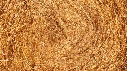 Hay spiral pattern in warm tones