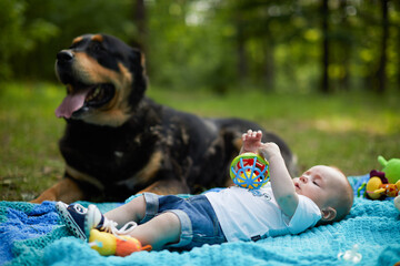 Big dog protection human baby in forest.Baby without parents lies on a blanket in the forest.