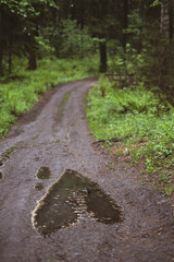 A puddle in the shape of a heart on a forest road. Concept i love travel and way.