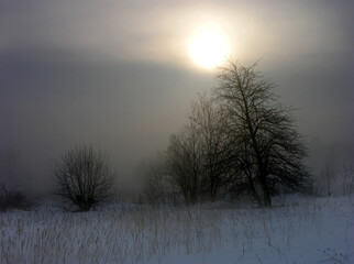 mgła zimą