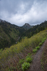 Obraz premium Hiking trail in Montana mountains