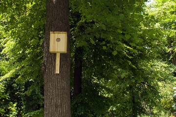 new bird house nailed to a tree under a green crown