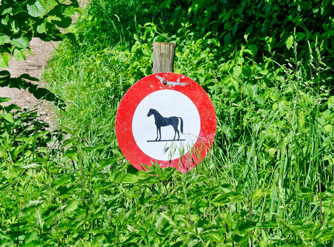 No horses sign near a forest path