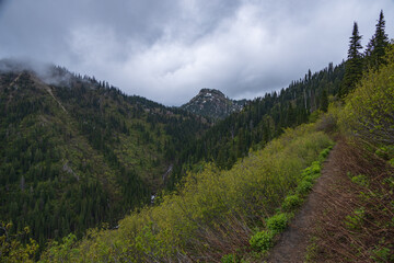 Obraz premium Hiking trail in the Montana mountains