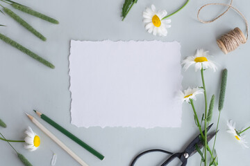 Mockup of paper, daisies on grey green background