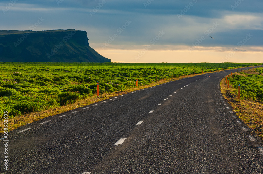 Wall mural typical road in southern iceland through mýrdalssandur, iceland