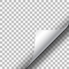 White paper corner on transparent background.