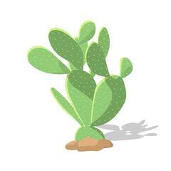 Vector green cactus isolated on white background. - obrazy, fototapety, plakaty