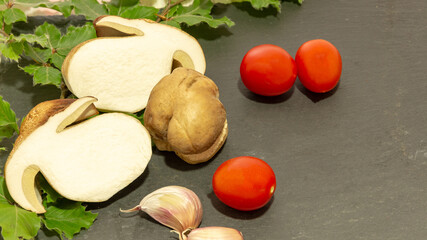 Boletus edulis on black background,  sila national park ...