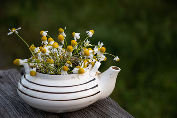 Field daisies in an old ceramic teapot on old boards in the garden.