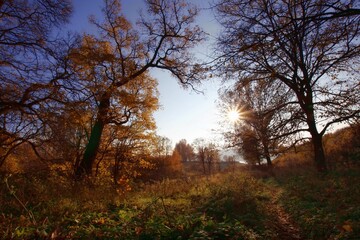 Obraz na płótnie Canvas Autumn landscape