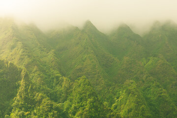 misty morning in the mountains. Location Hawaii 