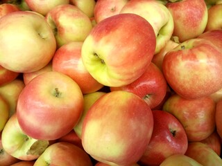 fresh juicy apples on the market counter