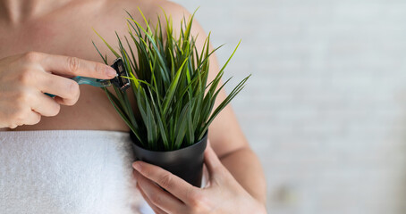 Faceless woman holds a pot with a houseplant and a shaver. Imitation of armpit hair removal....