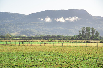 Fototapeta na wymiar Rural landscape and background mountains of the Serra Geral in southern Brazil