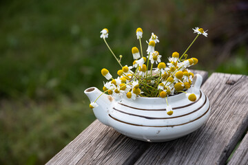 Field daisies in an old ceramic teapot on old boards in the garden.