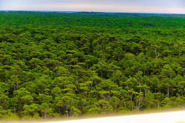 Beautiful view of the Dune of Pilat (Grande Dune du Pilat), the tallest sand dune in Europe.