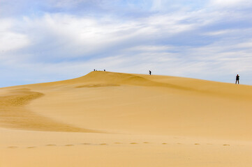 Fototapeta na wymiar Dune of Pilat (Grande Dune du Pilat), the tallest sand dune in Europe. And the Atlantic Ocean.