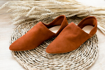 comfortable casual suede shoes for business meetings lie on a beautiful background, brown color of...