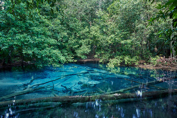 Emerald pool in Krabi province, Thailand