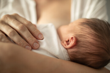 Fototapeta na wymiar Newborn baby breast feeding. 