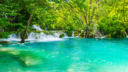 Obraz na płótnie Canvas It's Very beautiful sigh of a green oasis in Croatia