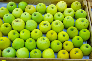 Green and yellow apples in wooden tray