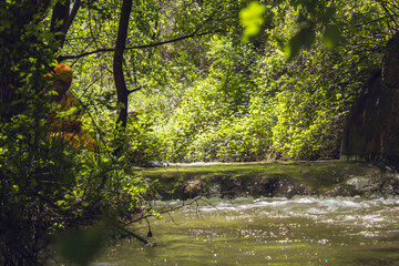the narrow river flows