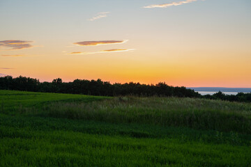A meadow with lush green grass on the river Bank in the soft rays of the setting sun. Copy space.