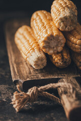 Ripe corn on dark background.