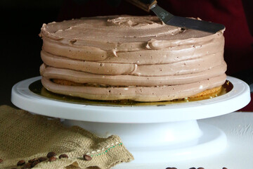 chocolate cake process. process of cooking chocolate bakery pastry with melting chocolate. Ingredients for cooking chocolate. Cooking concept. Professional confectioner decorating delicious cake