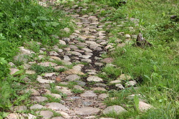 Gray cobblestone pathway between green grass in wild Park on summer day