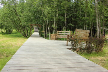 Empty wooden boardwalk pathway in perspective with benches in summer Park on green trees and grass background, outdoor vacation