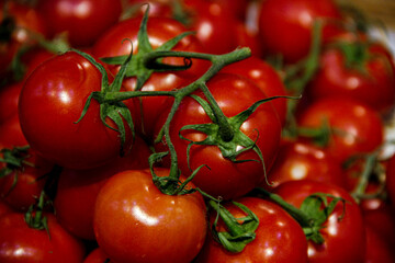 Red tomato bunches with green stems